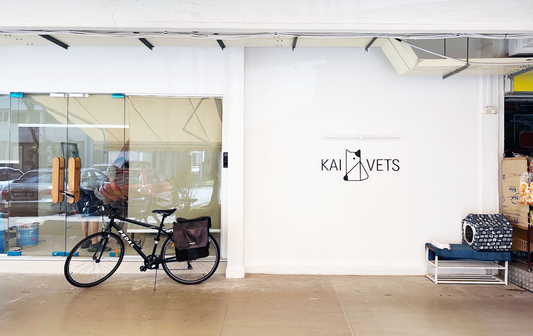 Branding: KAI Vets